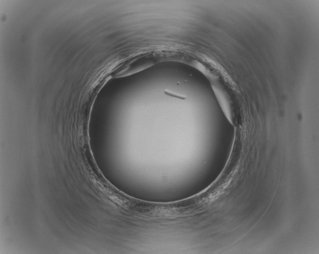 X0000072520977200608041527