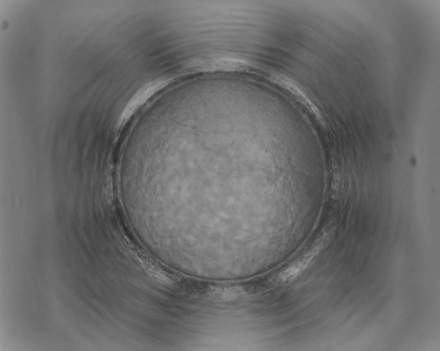 X0000072520978200608041527