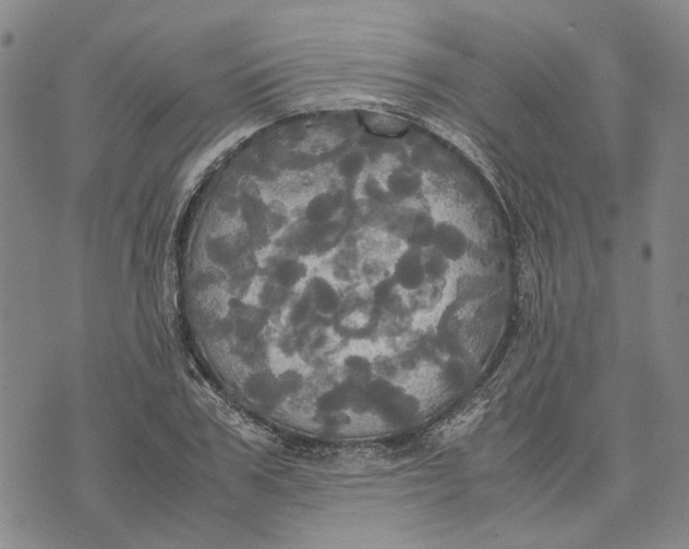 X0000072520979200608041527