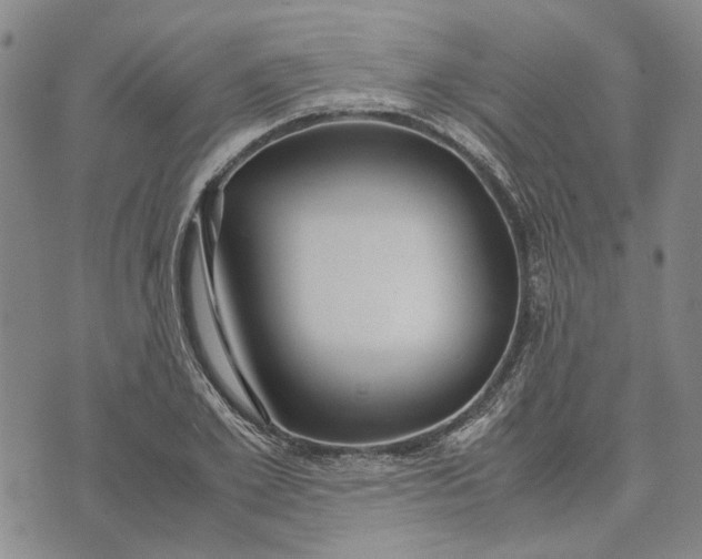 X0000072520981200608041527