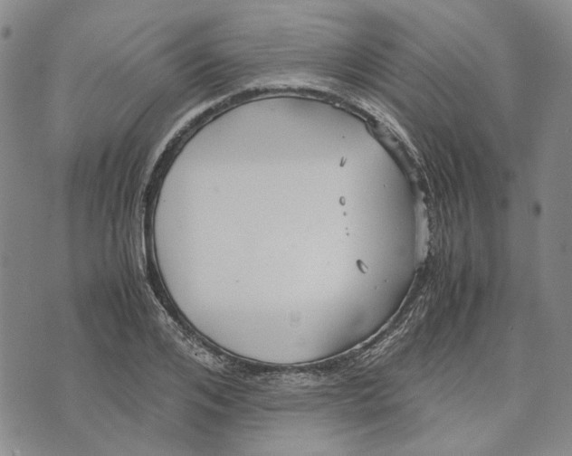 X0000072520984200608041527