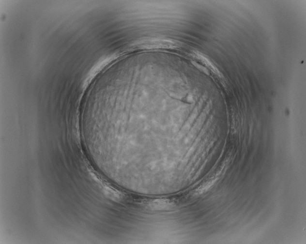 X0000072520986200608041527