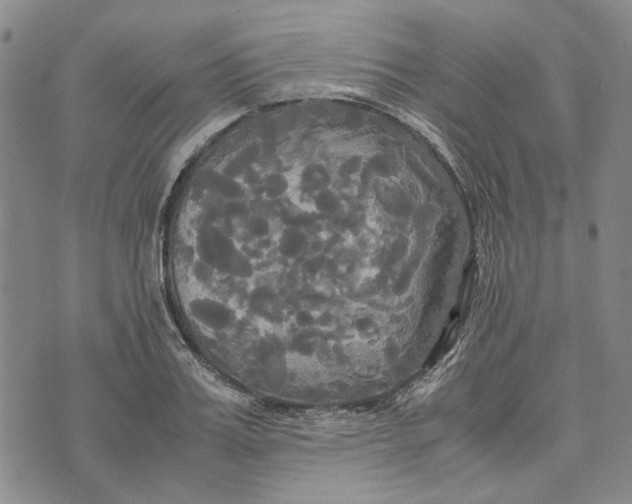 X0000072520987200608041527