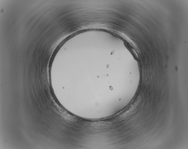 X0000072520988200608041527