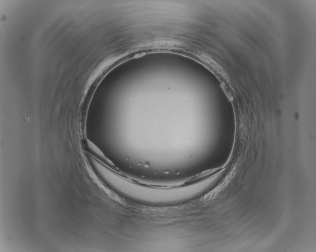 X0000072520989200608041527