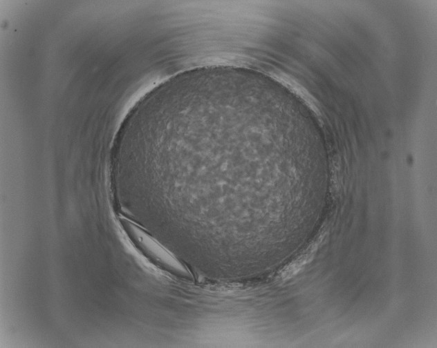 X0000072520991200608041527