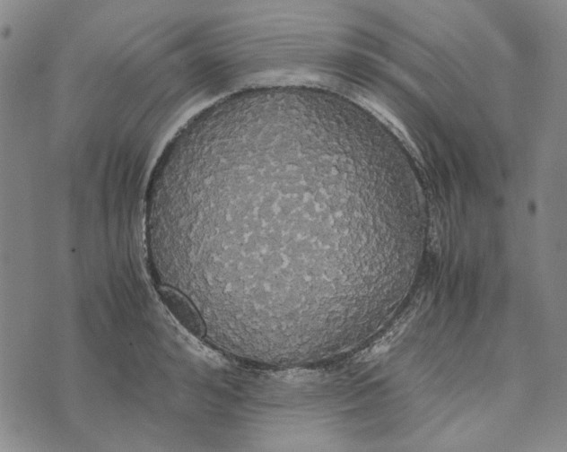 X0000072520992200608041527