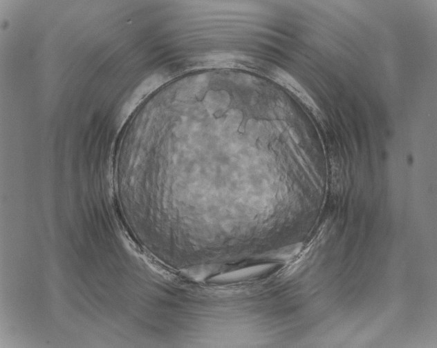 X0000072520994200608041527