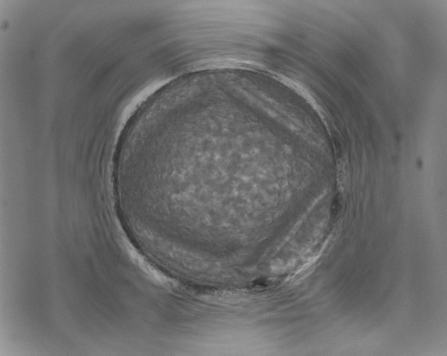 X0000072520995200608041527