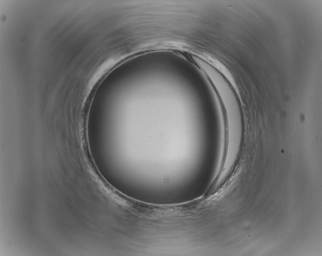 X0000072520997200608041527