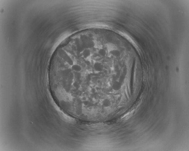 X0000072520999200608041527