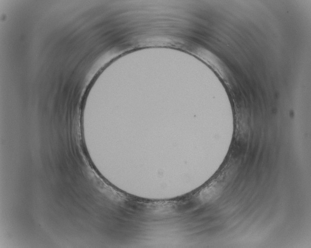 X0000072521000200608041527