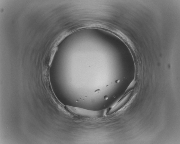 X0000072521001200608041527