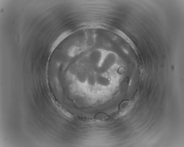 X0000072521002200608041527