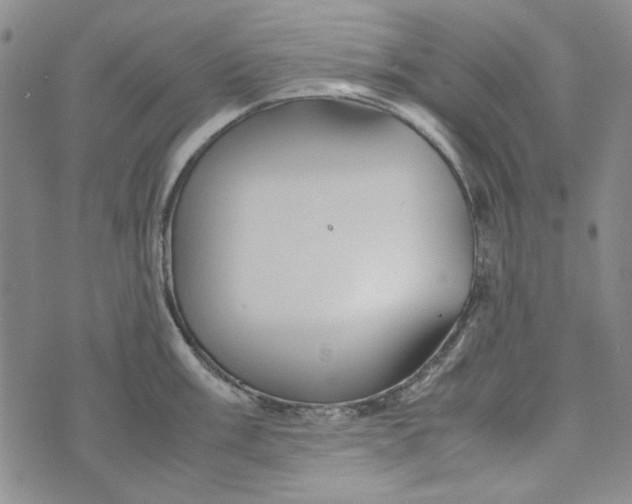 X0000072521003200608041527