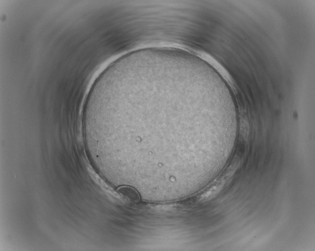 X0000072521004200608041527