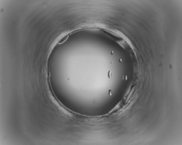 X0000072521005200608041527