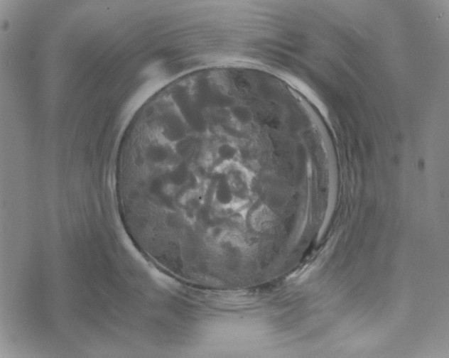 X0000072521007200608041527