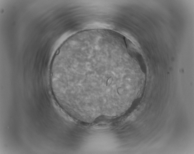 X0000072521008200608041527