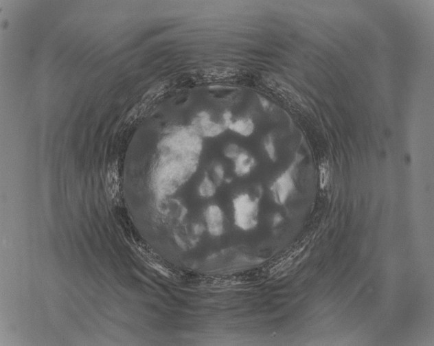 X0000072521011200608041526