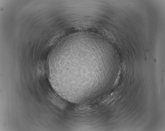 X0000072521012200608041526