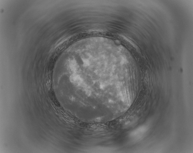 X0000072521015200608041526