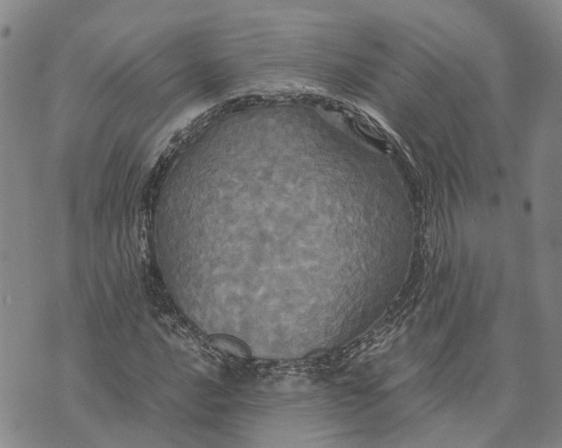 X0000072521016200608041526