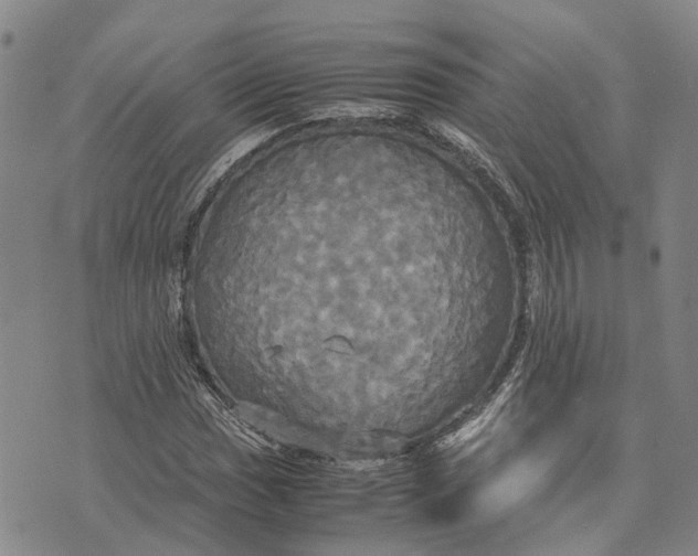 X0000072521017200608041526