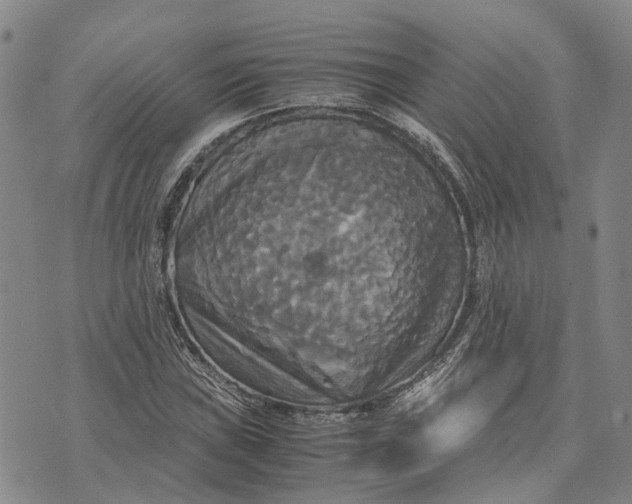 X0000072521019200608041526