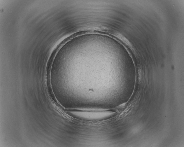 X0000072521020200608041526