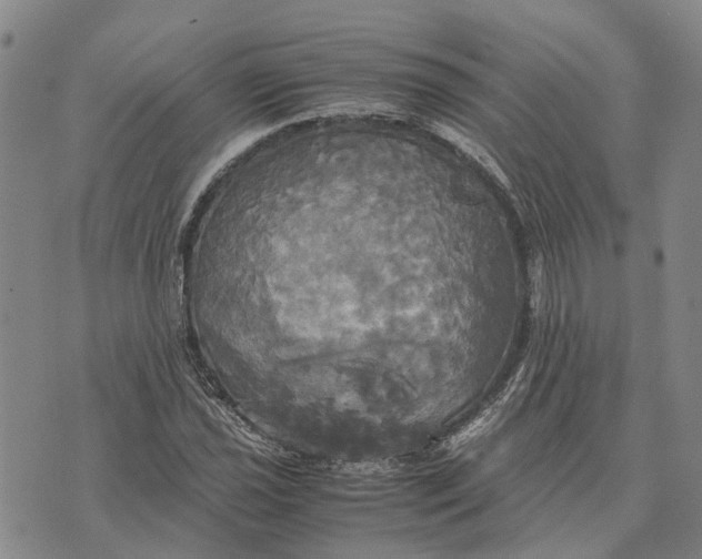 X0000072521021200608041526