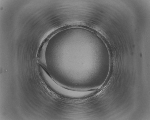 X0000072521022200608041526