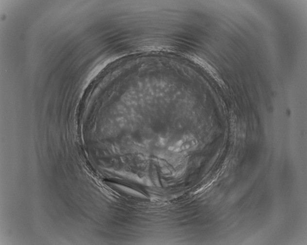 X0000072521023200608041526