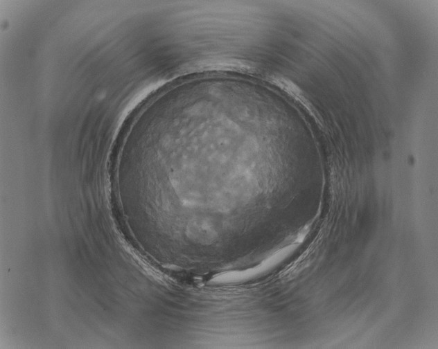 X0000072521024200608041526