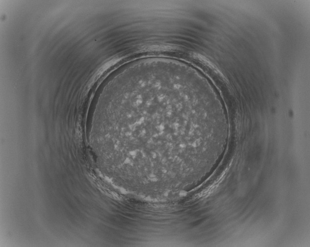 X0000072521025200608041526