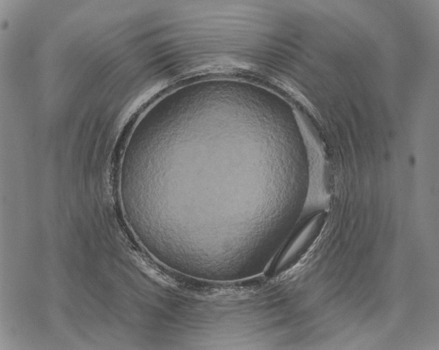 X0000072521026200608041526