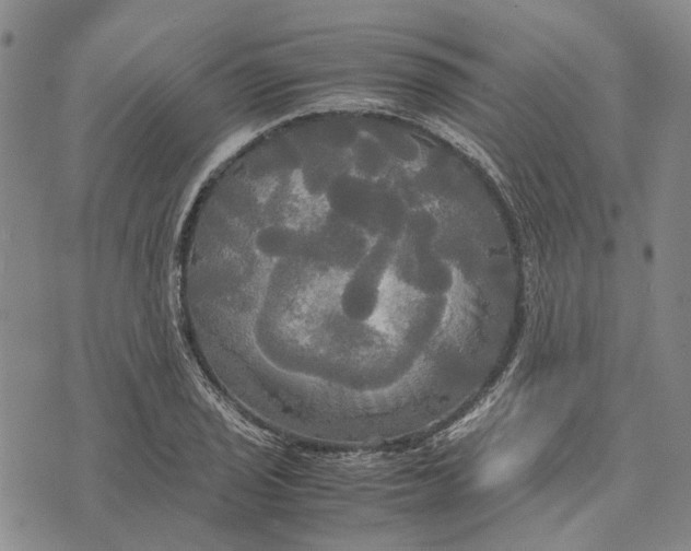 X0000072521029200608041526