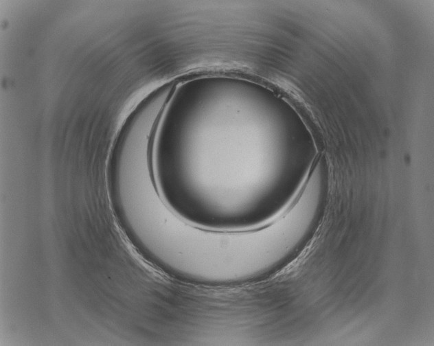 X0000072521030200608041527