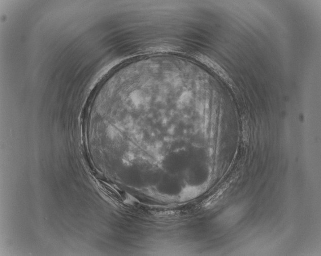 X0000072521031200608041527