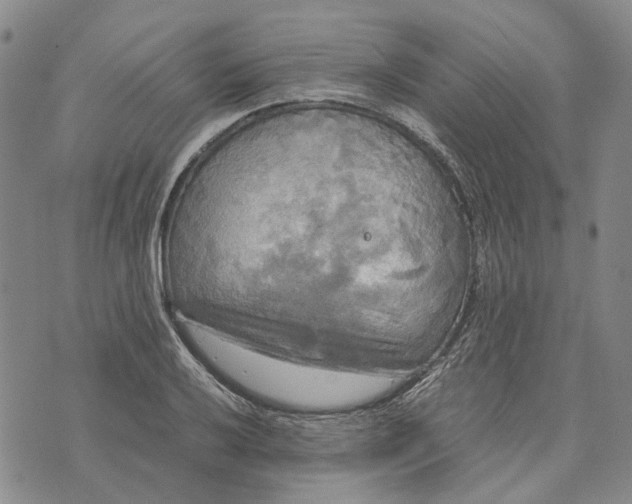 X0000072521032200608041527