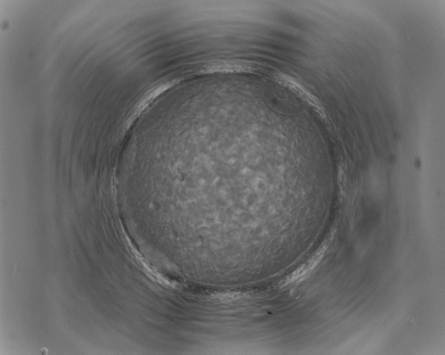 X0000072521033200608041527