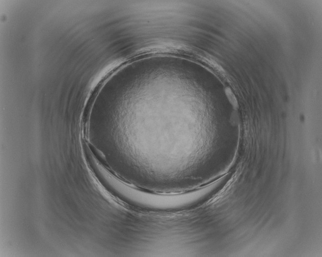 X0000072521034200608041527