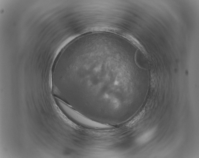 X0000072521036200608041527