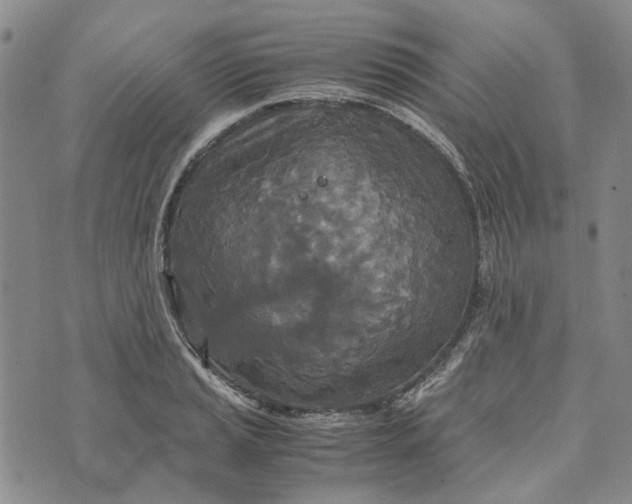 X0000072521037200608041527