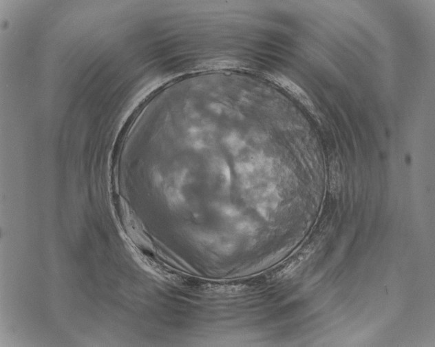 X0000072521039200608041527