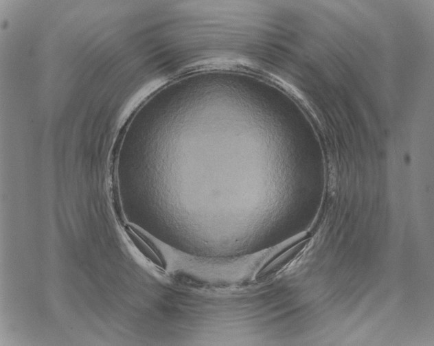 X0000072521042200608041527