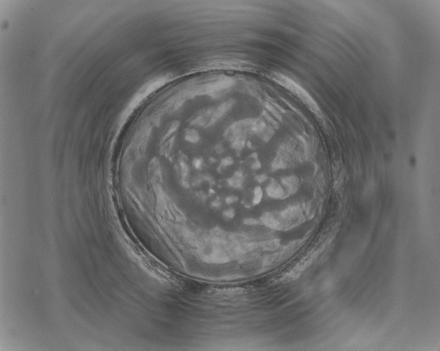 X0000072521043200608041527