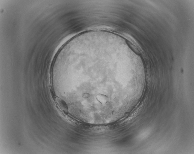 X0000072521044200608041527