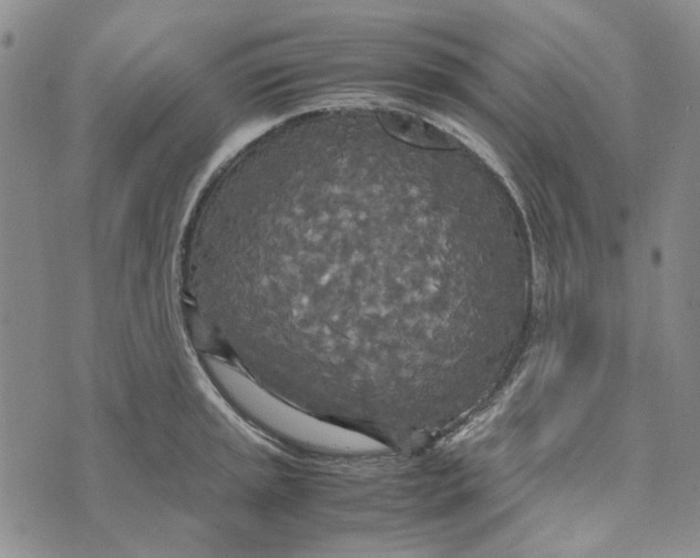 X0000072521045200608041527