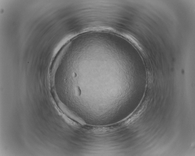 X0000072521046200608041527